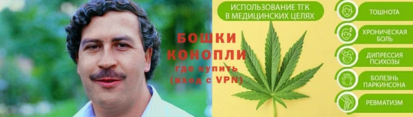 гидра Балахна