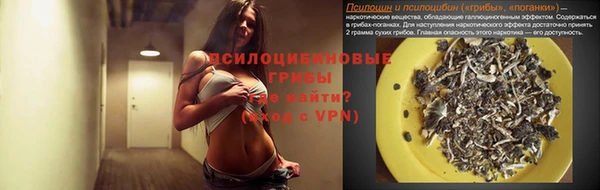 гидра Балахна